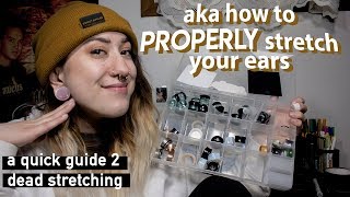 a 101 guide on stretched ears [upl. by Anomas]