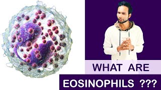 What are Eosinophils   Clear amp Complete Explain [upl. by Poock769]