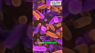 ¿Hay bacterias que faciliten la obesidad [upl. by Moseley272]