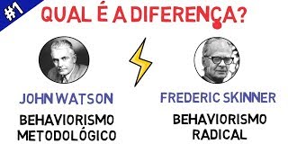 BEHAVIORISMO  Entenda a Diferença entre Metodológico e Radical em Apenas 5 Minutos [upl. by Merow]