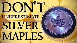 Why You NEED to Be Stacking Silver Maple Leaf Coins [upl. by Champ]