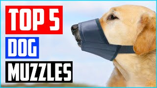 Best Dog Muzzles to Prevent Biting of 2023 Review  Top 5 Picks [upl. by Aggappera]