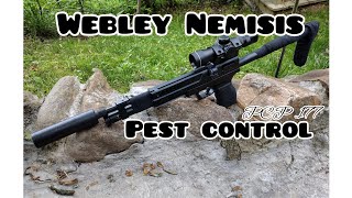 Webley Nemisis PCP 177 Pest Control [upl. by Arriaes]