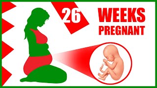 26 Weeks Pregnant – Baby Size and Movement  Pregnancy Symptoms [upl. by Eerbua1]