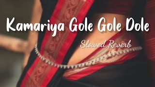 Kamariya Dole slowed reverb   kamriya gole gole dole Raj ji lofi song [upl. by Fidela]