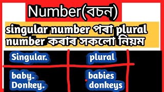 singular number and plural number singular number to plural number number English grammar example [upl. by Labaw]