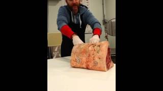 Preparing a Dry Aged New York Strip Steak at the Butcher of Kingsville [upl. by Noitna]