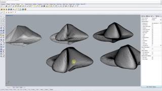 ADVANCED RHINO  NURBS TO MESH  REDUCE MESH  MESH TO POLYSURFACE [upl. by Janik376]