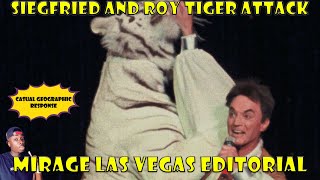 Siegfried and Roy Tiger Incident Feat mndiaye97 [upl. by Niac213]