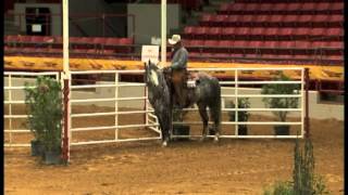 2013 AQHA Verstality Ranch Horse Amateur World Champion [upl. by Margetts]