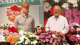 SunPatiens® Overview with the Experts [upl. by Mellie570]