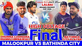 FinalMalookpurDhunna Ludhiana amp Mannu Hirnawali Vs Bathinda City Cosco Cricket Mania [upl. by Schwenk]