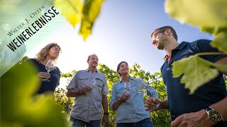 Weinprobe Weinkeller Führungen Weinwanderung  Erlebnis amp Urlaub im Weingut Walter J Oster Mosel [upl. by Arihay]