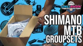 Shimano MTB Groupsets Price amp Hierarchy [upl. by Dow]