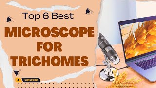 Best Microscope for Trichomes in 2023 Top 6 Reviews [upl. by Gloria]