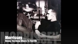 Morrissey  Honey You Know Where To Find Me Album Version [upl. by Ihdin531]