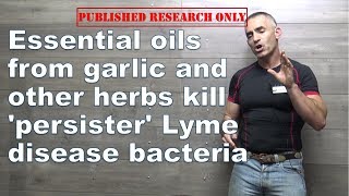 Essential oils from garlic and other herbs kill persister Lyme disease bacteria [upl. by Mccreery]