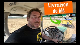 Livraison du blé en John Deere 6190  moisson 2023 [upl. by Dranal351]