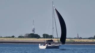 take a look at zeelander yachts sailing in bruinisse zeeland the netherland july 2023 [upl. by Adnirb]