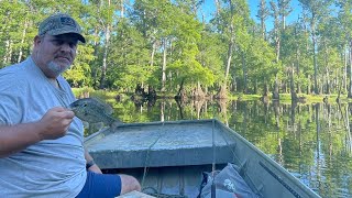 Bream Fishing With Crickets Hutson Lake Pascagoula River Blue Gill South Mississippi [upl. by Elorac442]