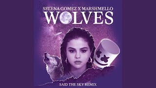 Wolves Said The Sky Remix [upl. by Torrin]