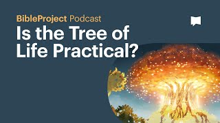 Is the Tree of Life Practical  BibleProject Podcast [upl. by Alyt782]