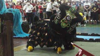 Kwong Ngai Lion Dance 吉隆坡光艺醒狮团 [upl. by Woo]