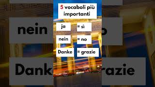 I 5 vocaboli più importanti per il tuo prossimo viaggio in Germania tedesco vocaboli pronuncia [upl. by Ranique510]