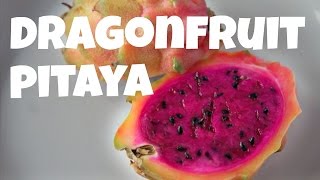 DRAGONFRUIT Red Fleshed PITAYA  Fruity Fruits [upl. by Mcclure666]