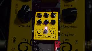 gojira vacuity bass cover metal pedal caline winecellar [upl. by Aicirt]