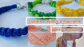 4 tipos de collares tejidos a macramé para tus mascotas [upl. by Yeldua]