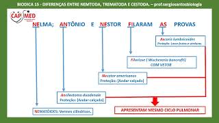 BIODICA15 DIFERENÇAS ENTRE NEMATODA TREMATODA E CESTODA [upl. by Eelyrag]