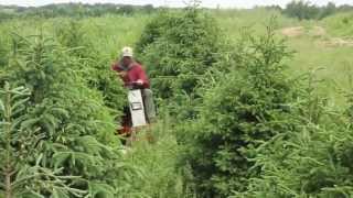 Tree Farm Mowing with Ventrac [upl. by Alyakcim]