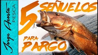 5 Señuelos para pescar PARGO  2019 [upl. by Alyek]