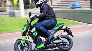 Battle of the midgets Kawasaki Z125 Pro vs Honda MSX125 vs Benelli TNT135 [upl. by Vez]