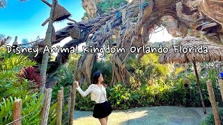 Day 1  Disney Animal Kingdom Orlando Florida 🗺️✨disneyworld fyp minivlog [upl. by Ivette]