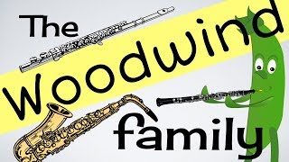 Woodwind Instruments for kids INSTs 3  Flute  Clarinet  Sax amp more  Green Beans Music [upl. by Idnil]