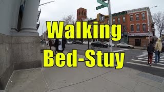 ⁴ᴷ Walking Tour of Bedford Stuyvesant BedStuy Brooklyn NYC [upl. by Apollo]