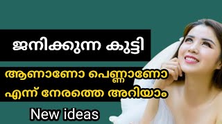 നേരത്തെ അറിയാം gender prediction  geethus world [upl. by Ramsey]