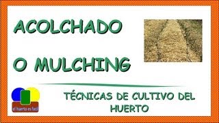 Mulching o Acolchado en el Huerto [upl. by Olympium793]