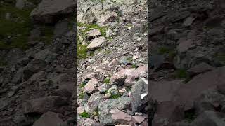 Ascent up the gully to Crestone Peak colorado14ers mountains colorado hiking travelphotography [upl. by Audrit]