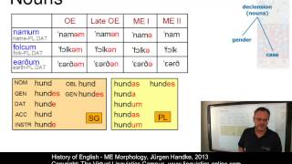 HIS132  ME Morphology [upl. by Cesya]