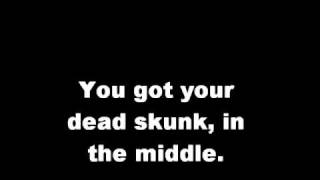 Dead Skunk in the Middle of the Road  With Lyrics [upl. by Catriona]