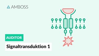 Signaltransduktion Teil 1  Was ist Signaltransduktion  AMBOSS Auditor [upl. by Medin]