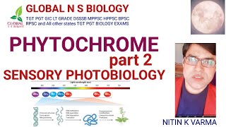 PHYTOCHROME  part 2  Sensory photobiology [upl. by Compte]