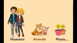 6 Habitats Where Animals amp Plants Live AMAZING Science for Kids [upl. by Pablo]