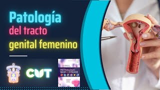 Emisión en directo  Patología del tracto genital femenino  Curso 2023A [upl. by Ztnaj]