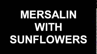 MERSALIN WITH SUNFLOWERS [upl. by Joscelin43]