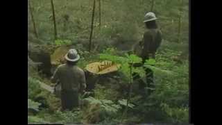 Valentine Logging  Coffman Cove Alaska  1983 [upl. by Meggi]