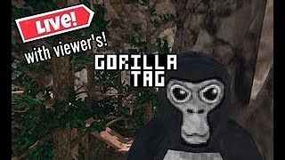 Gorilla Tag Live just a short stream [upl. by Kikelia]